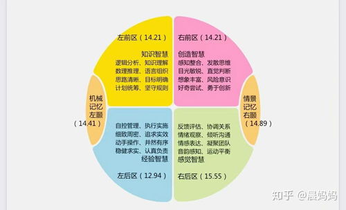 脑象测评 大脑使用说明书的医学研究与试验发展